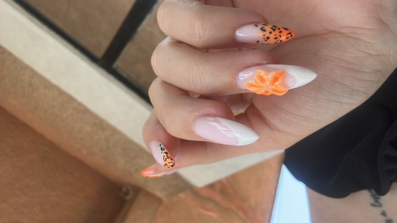 Bjx7nrJtmrNitKGF3LBZKhBpe2r1