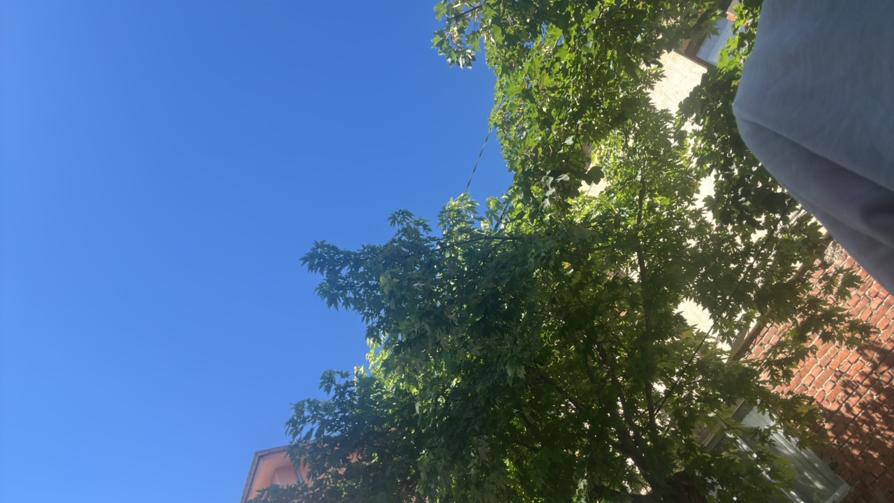 C24aJ2451gN7MyvnN67iPdBBV8y1
