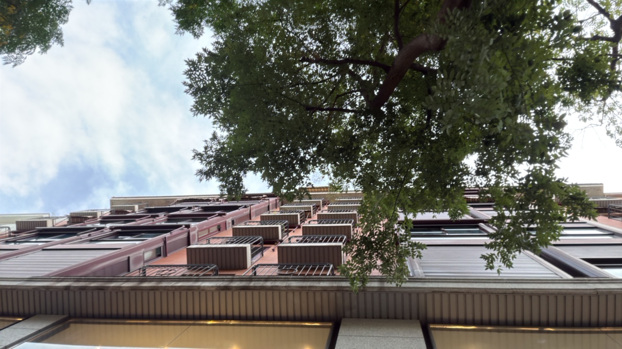 Mariana's profile picture