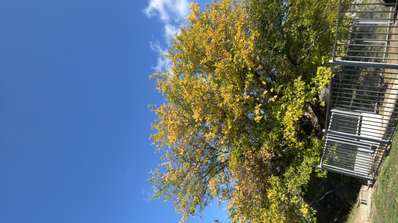 FM-3fp6q1's profile picture