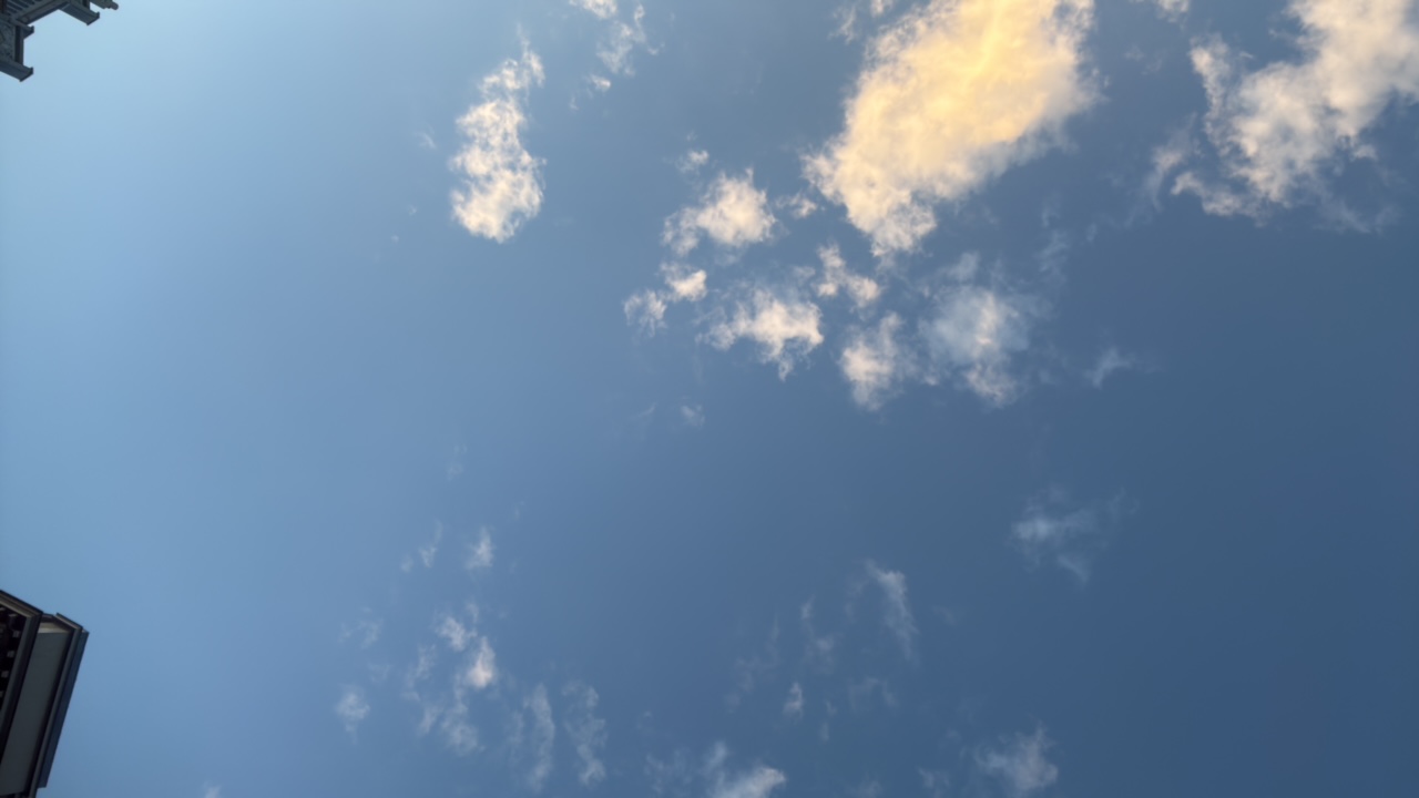 indyjaden's profile picture