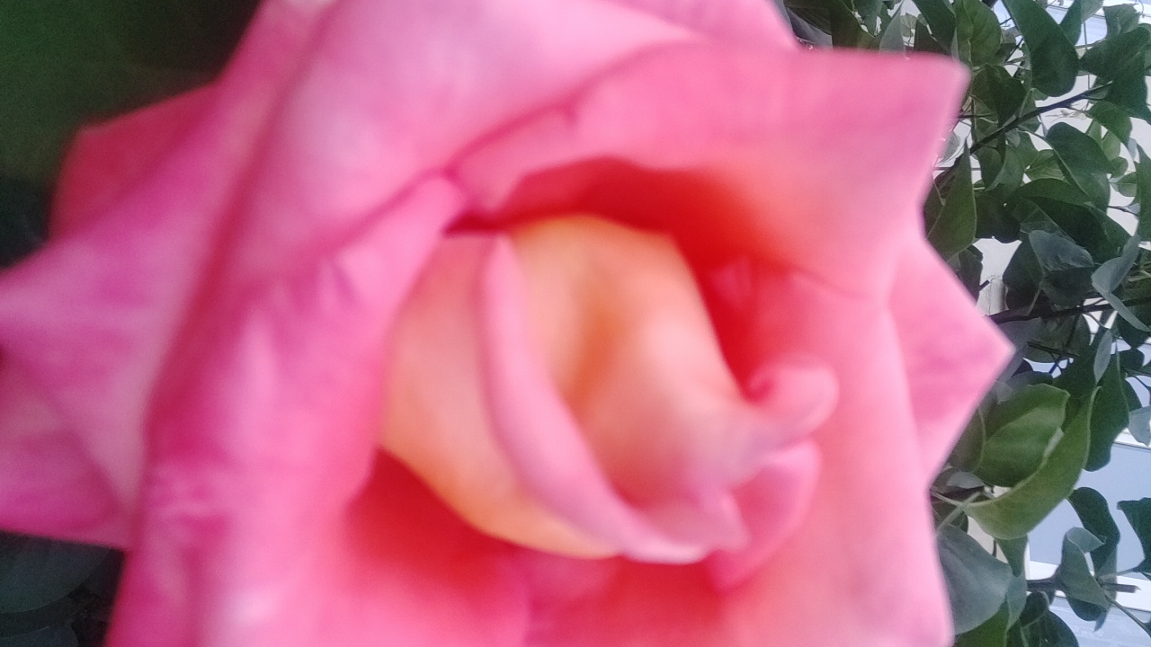 Cc40Dd1Vdra5wzZr9VqvLQgnKkl2