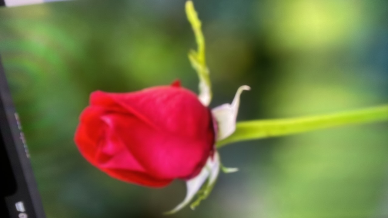 Mohammed 's profile picture