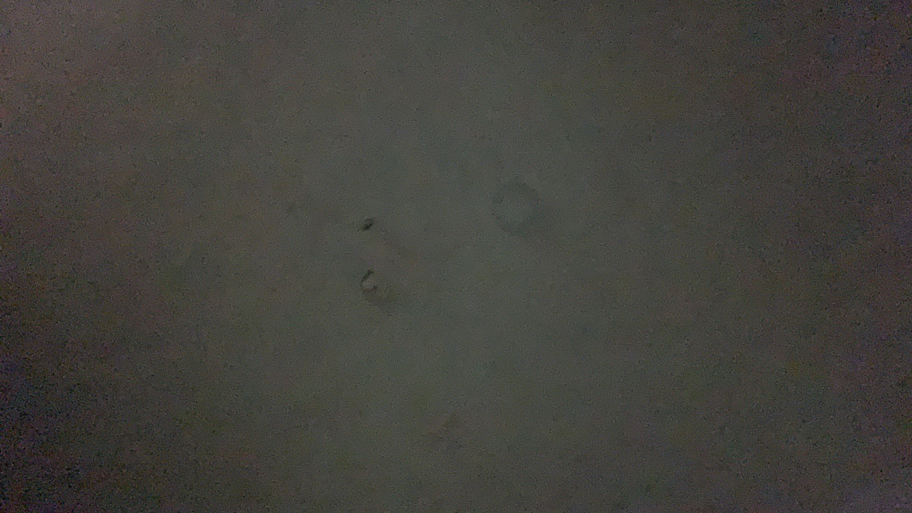 D9A6C5v6eSYr9gfQtPuo5EtsfYn1