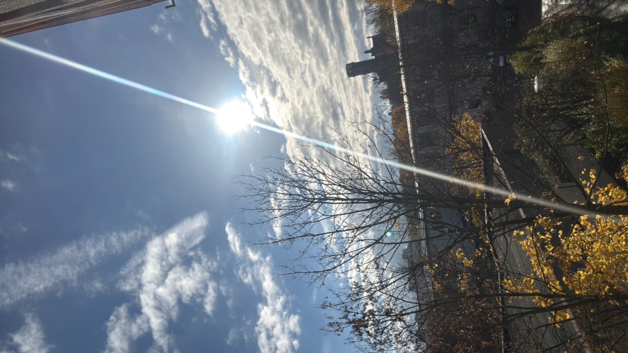 Powerful girl's profile picture