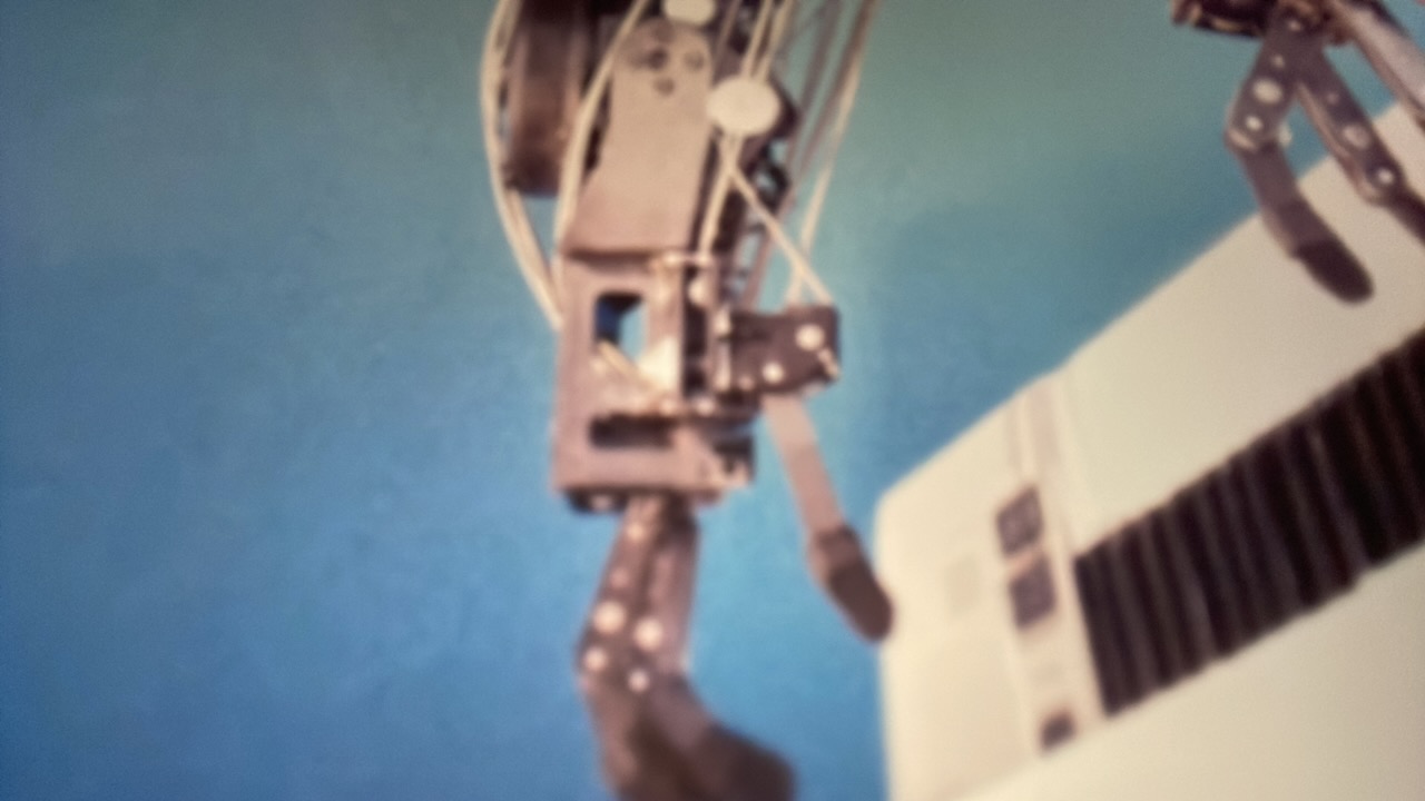 FM-rJGdb2's profile picture