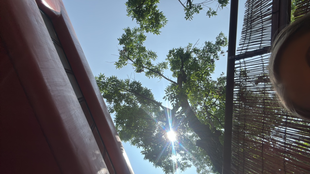 FM-tdNvZ2's profile picture