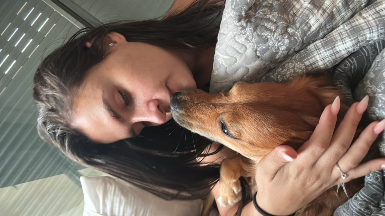 eden arad's profile picture