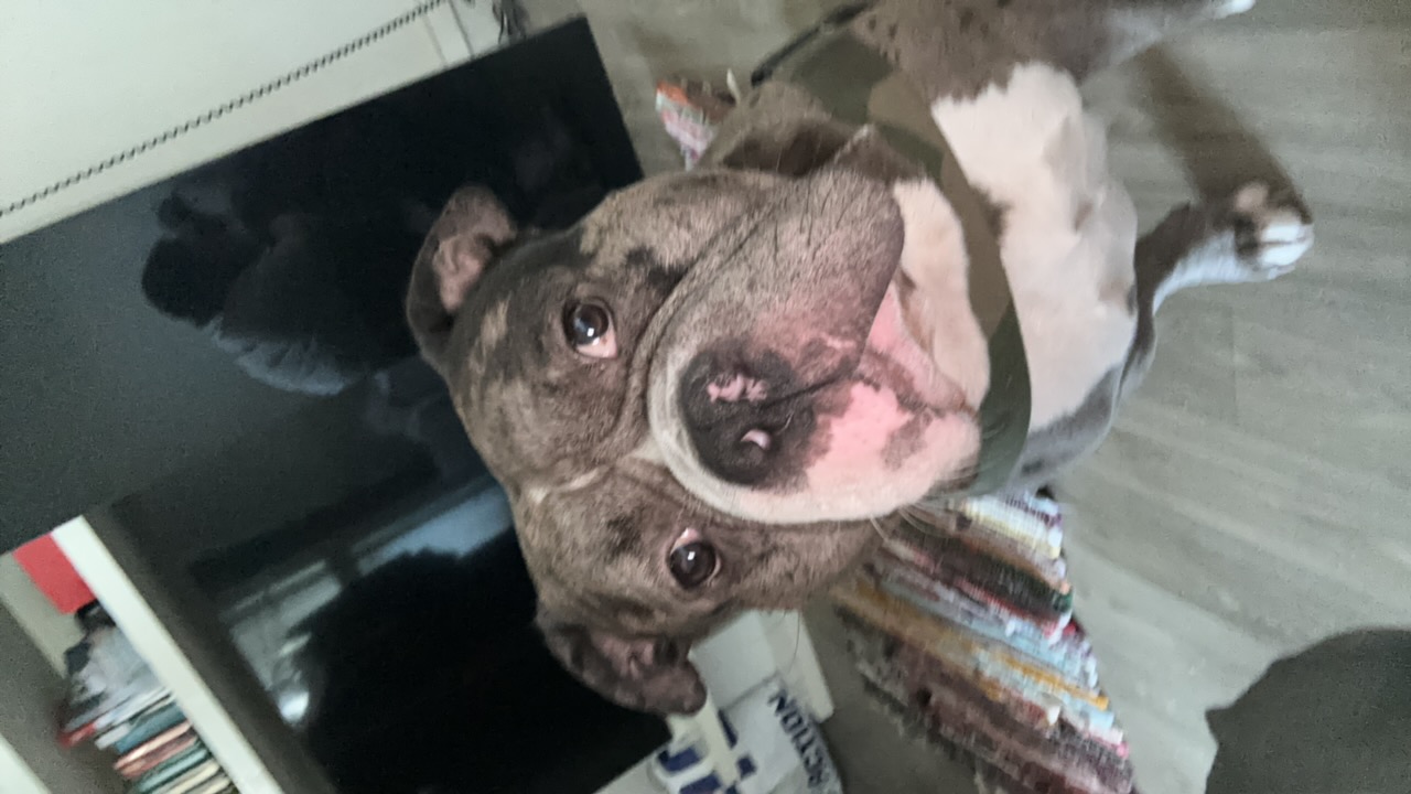 FM-lS6eB2's profile picture