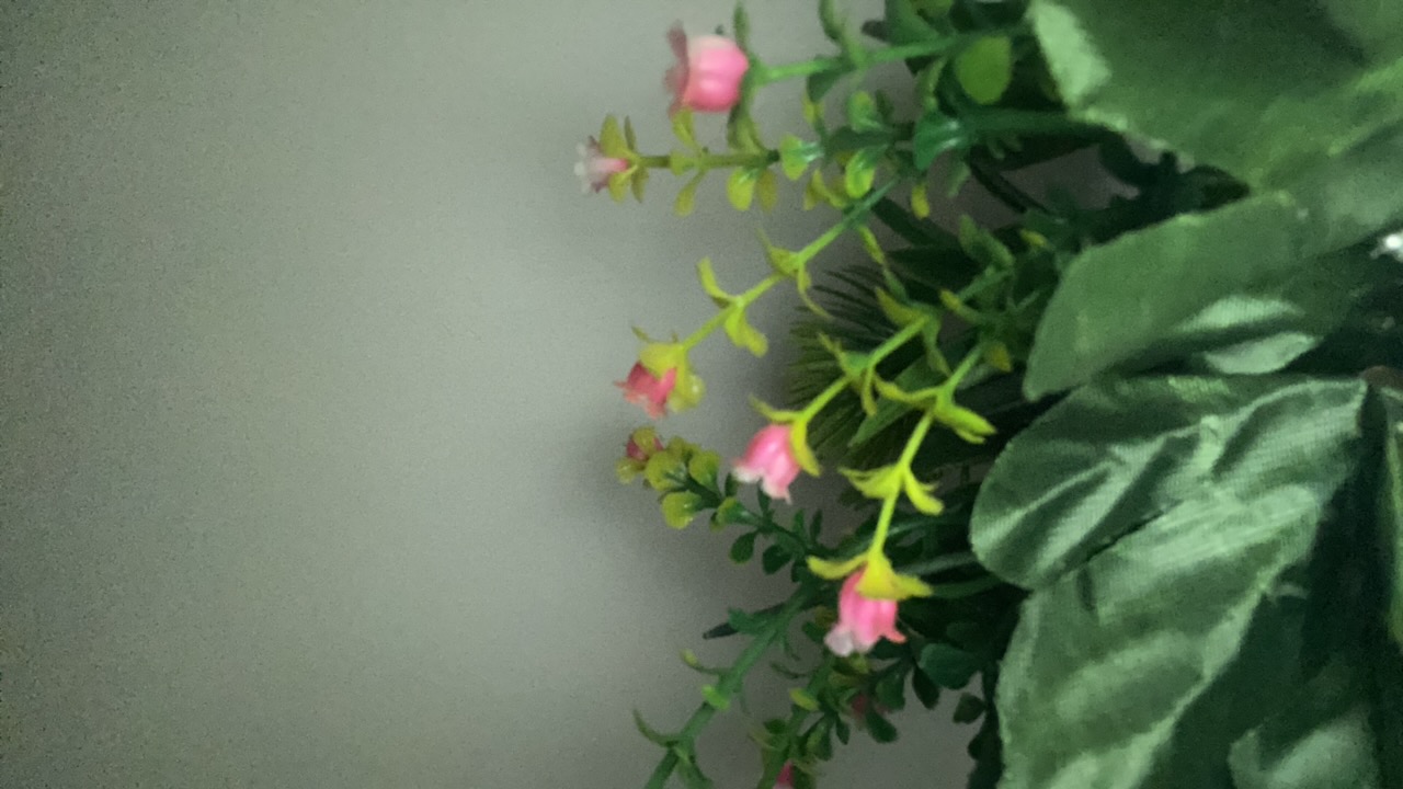 FM-BsPvr1's profile picture