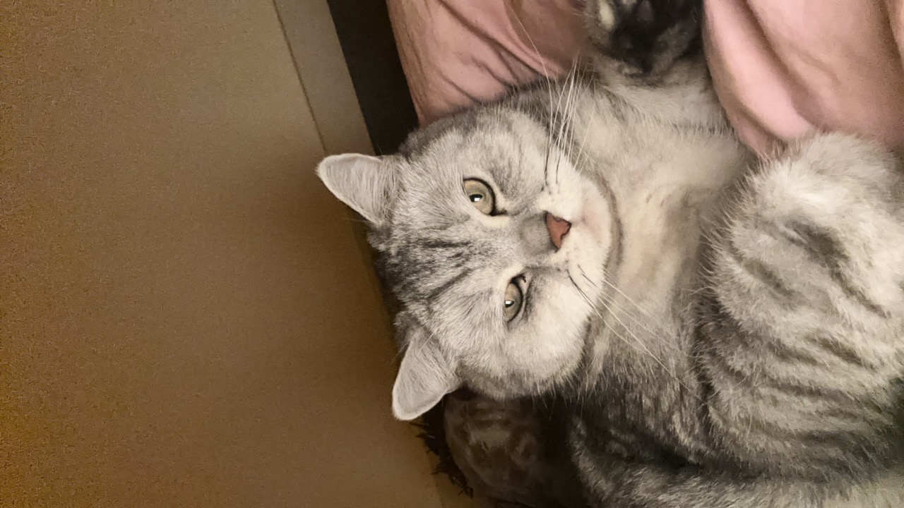 yuliya_p's profile picture