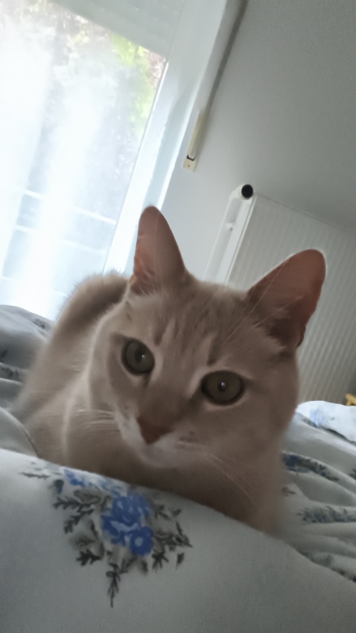 FeOOfEDzlIdV1rnzOj6t6jpxyMw1