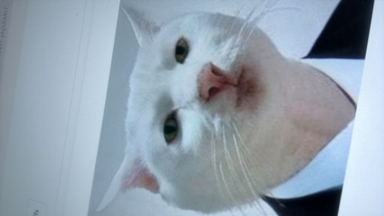 ID4G9ZK61nUecjr06K9CGaTwDBD3