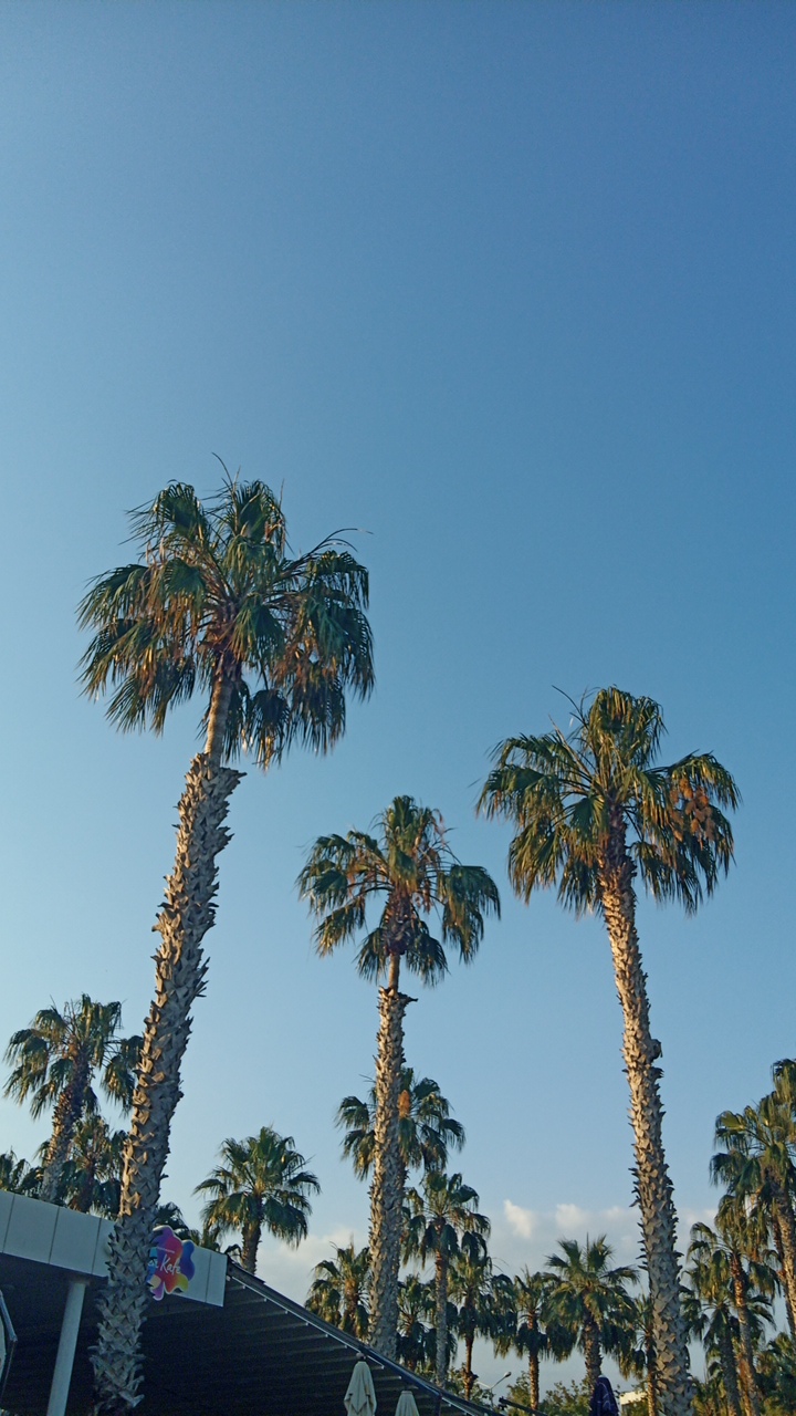 IhDS8DdB0oWNdsbB32UVY1ZVm9c2