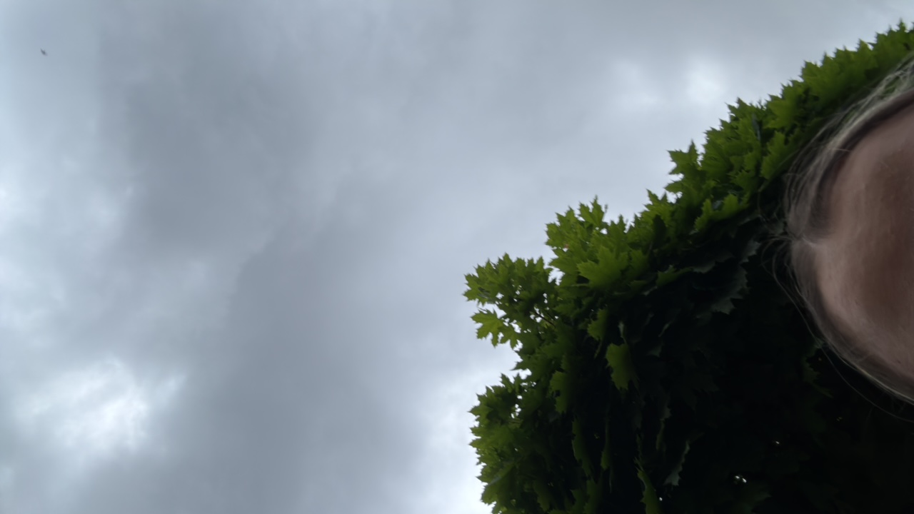 MrCvxOg9ioc4FGZcWq1UQDqpp893