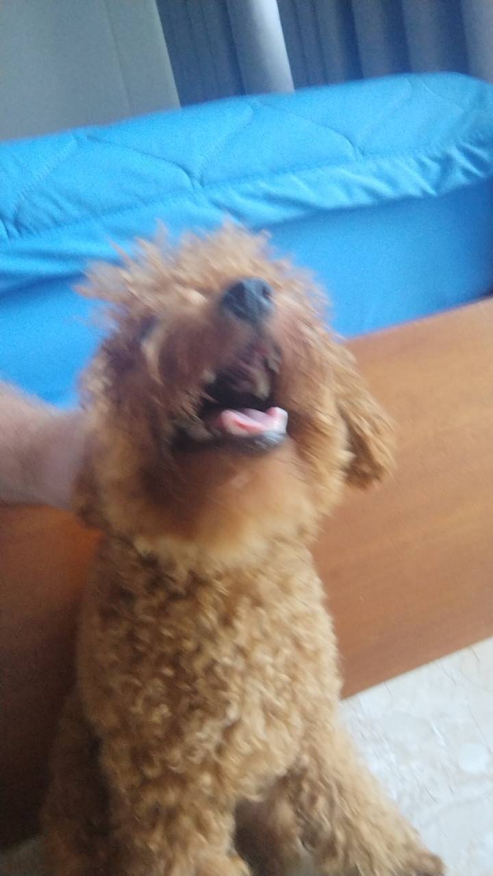 PgkrdQzd1PM1QGZZPezH3BFY1lL2