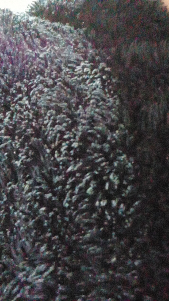 RgaRfYcq3xOSVXNuDDOKYfsFzTt2