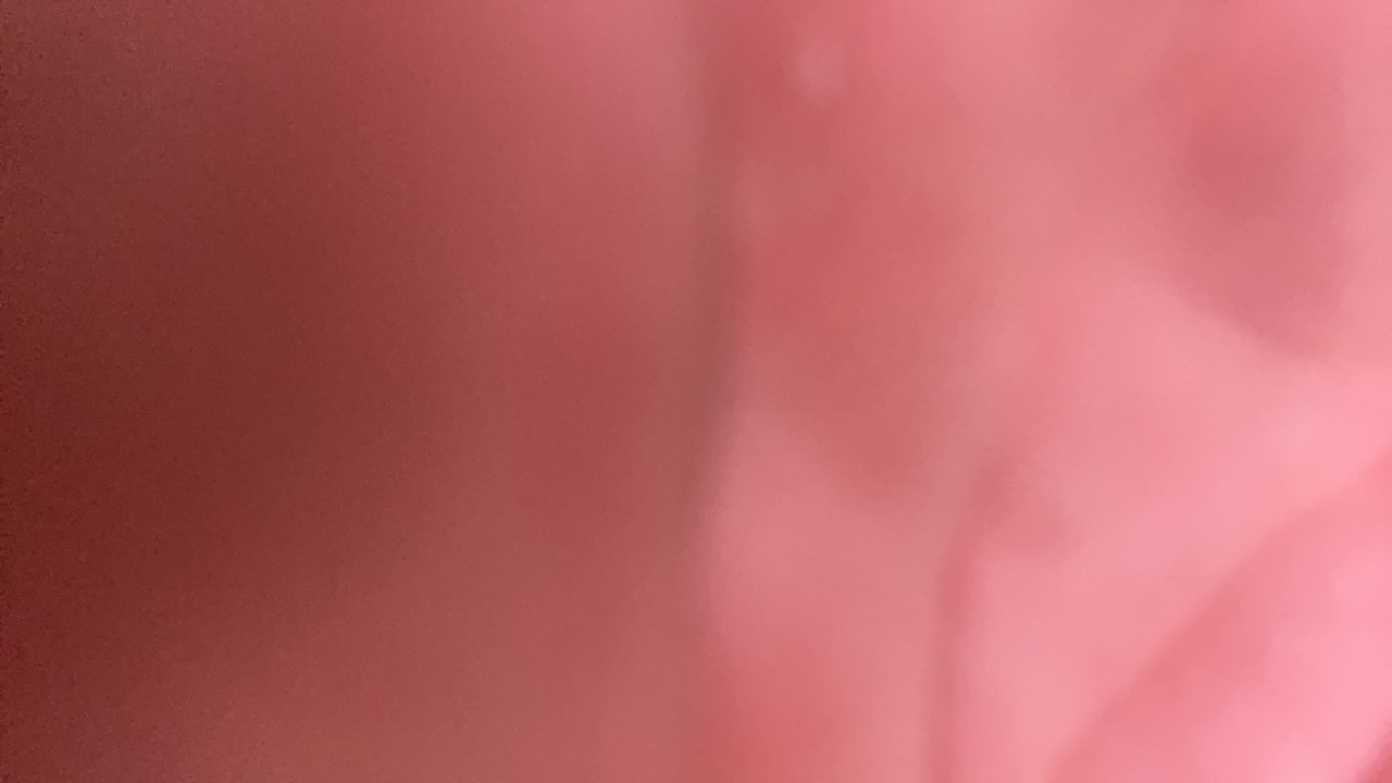 RqpliBLh3XQsK1UtmMBfH1NFhgs1