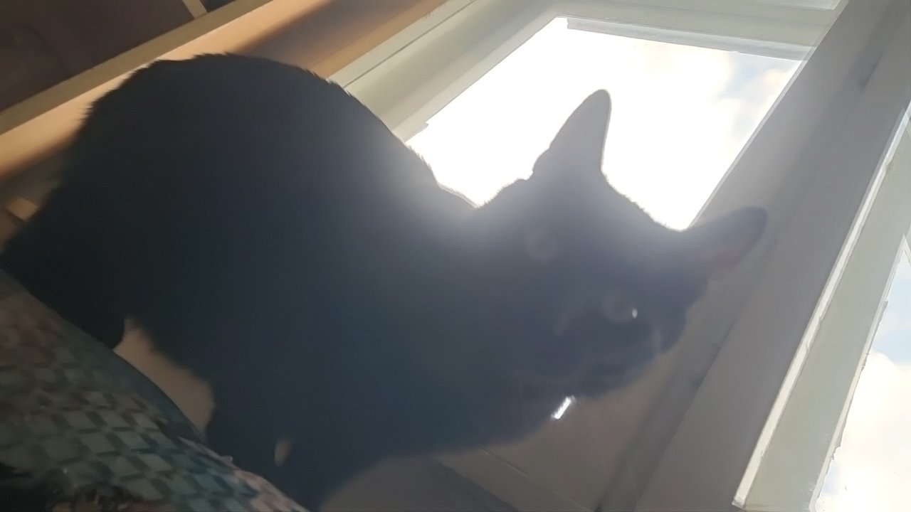 S5f9p9ZF1gVToFq5tWvZKKnUnZJ3