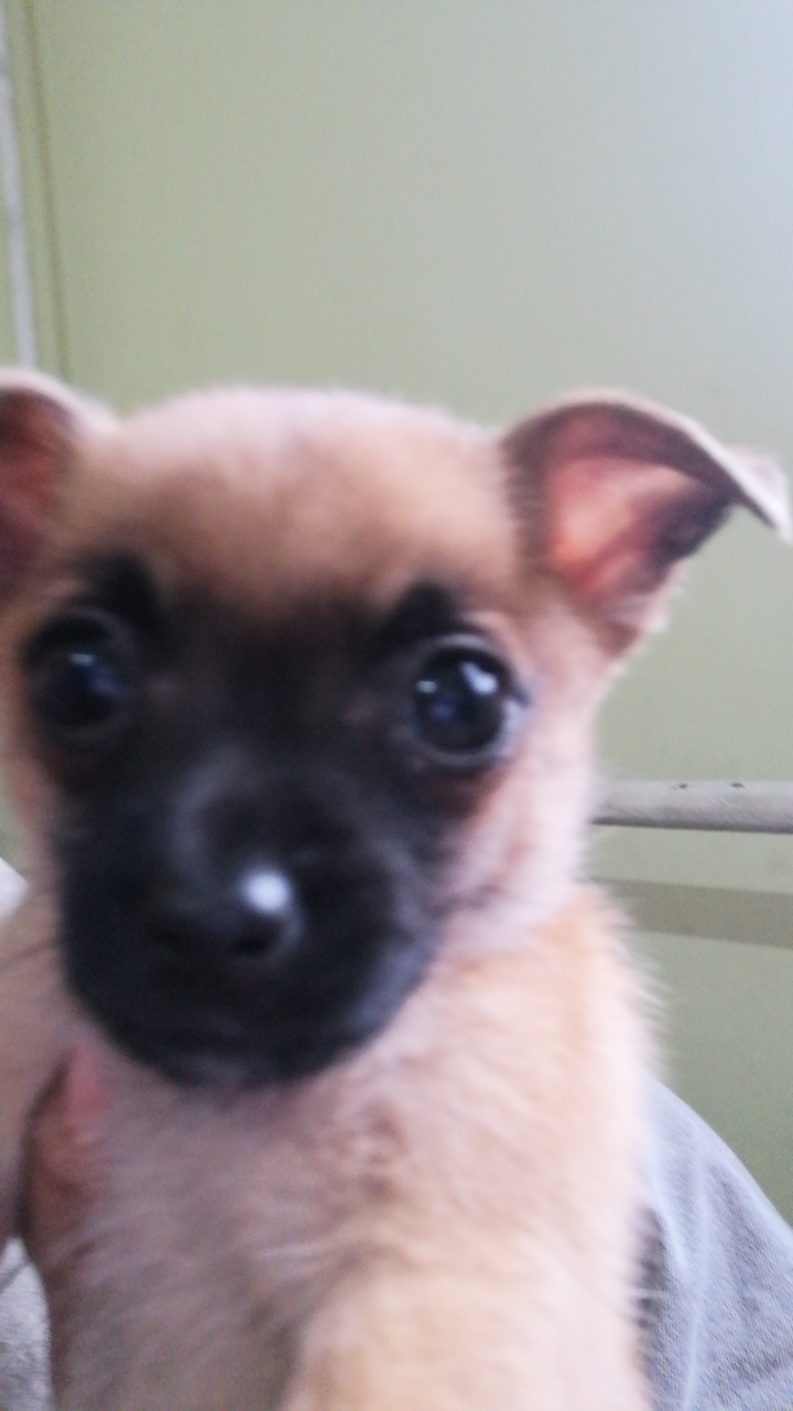 FM-535o93's profile picture