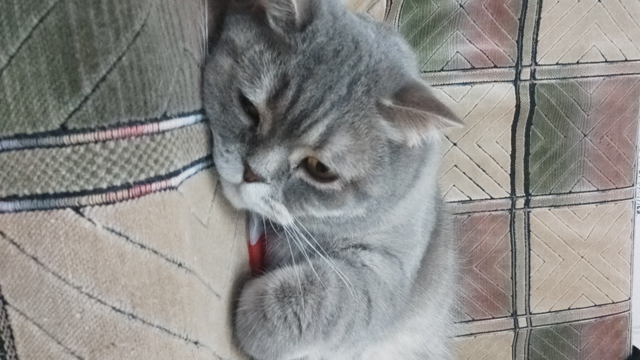 W2UqRnGlQFcCPTCGGASHW6BVCLw1