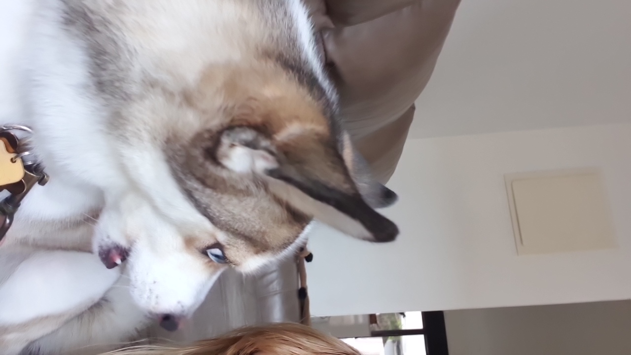 FM-orzBY2's profile picture