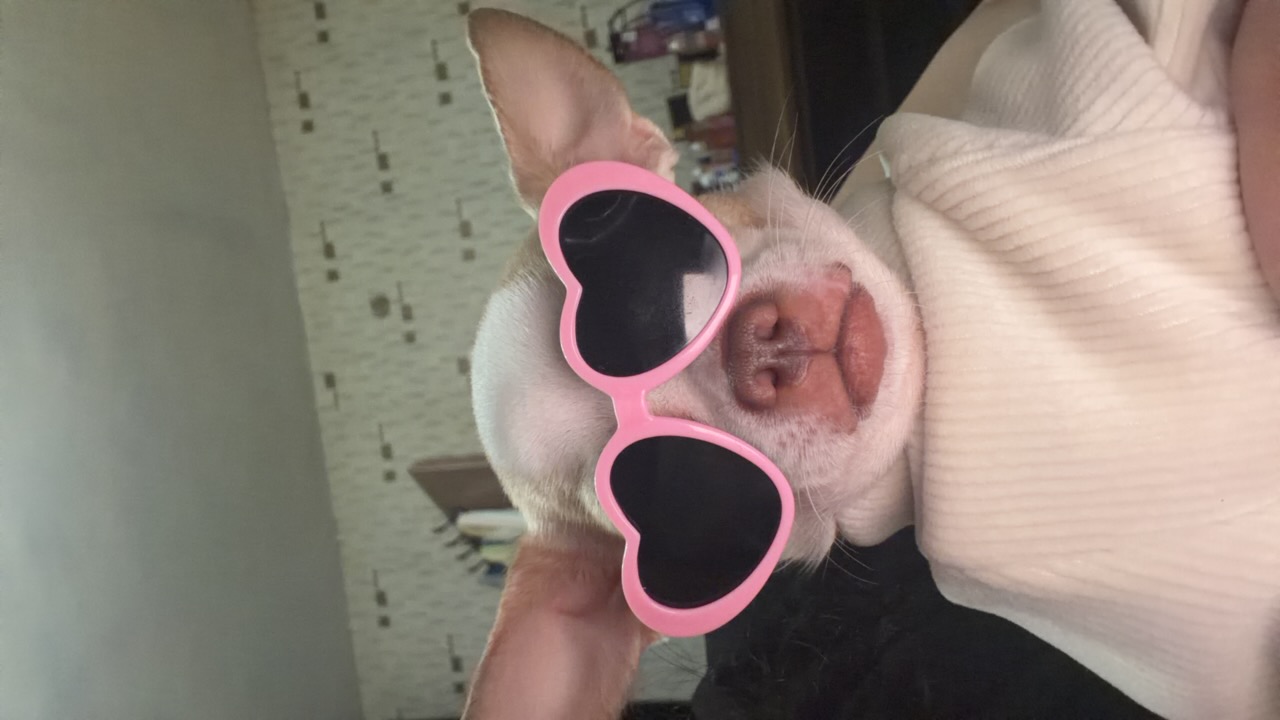 Kristiana Angelova's profile picture