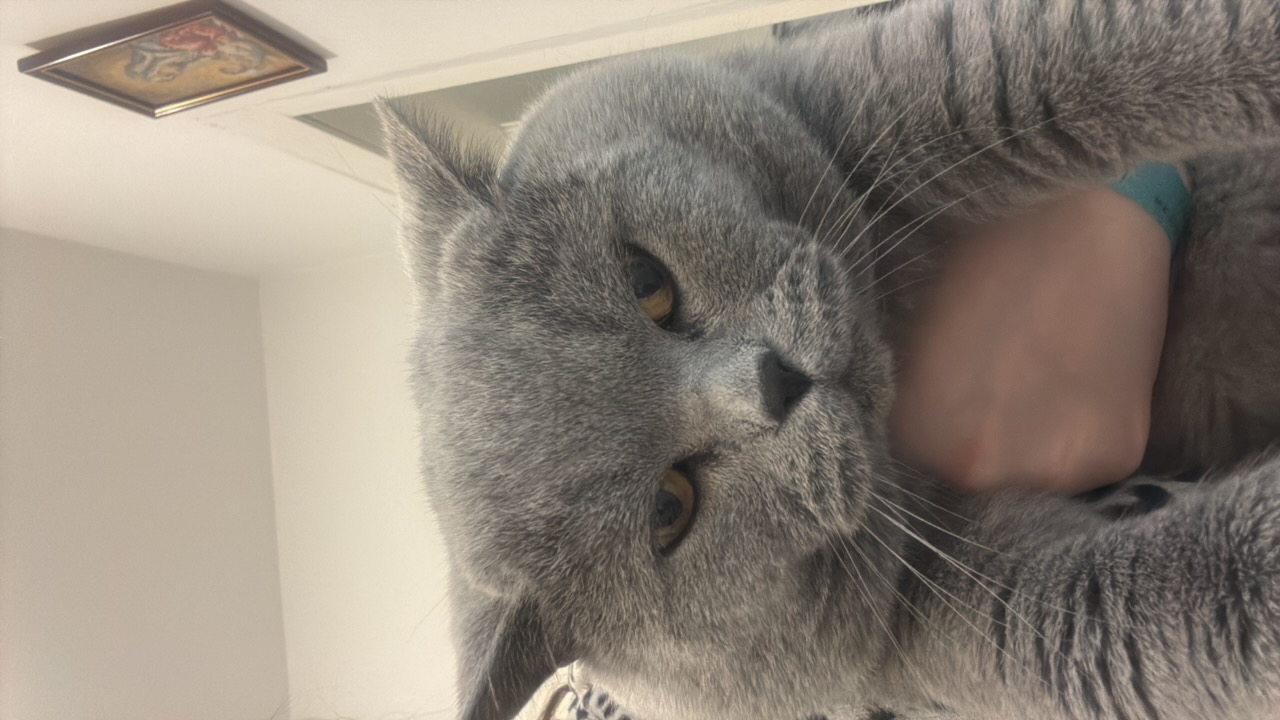 ZBiJtIpMpHQ1unW0wkEa3K1UONu2