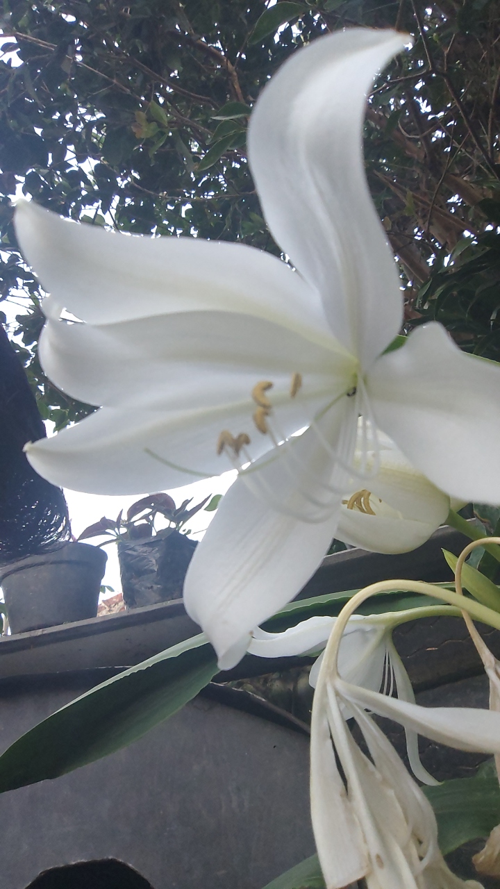 kelvin ♂️'s profile picture