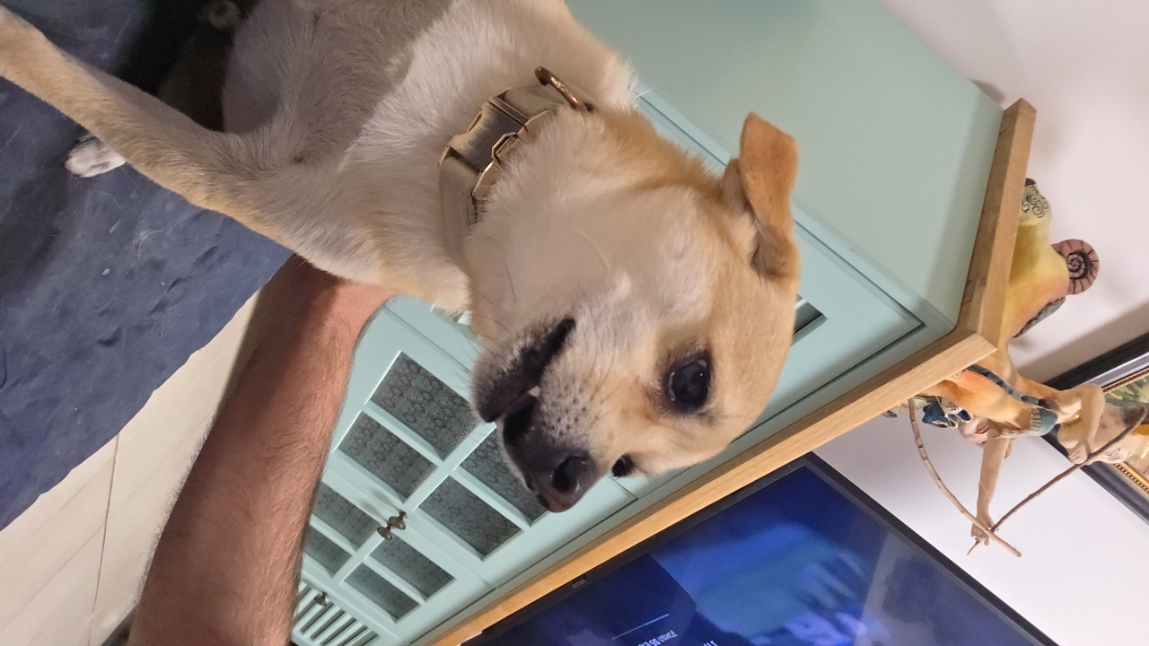 Dembe's profile picture