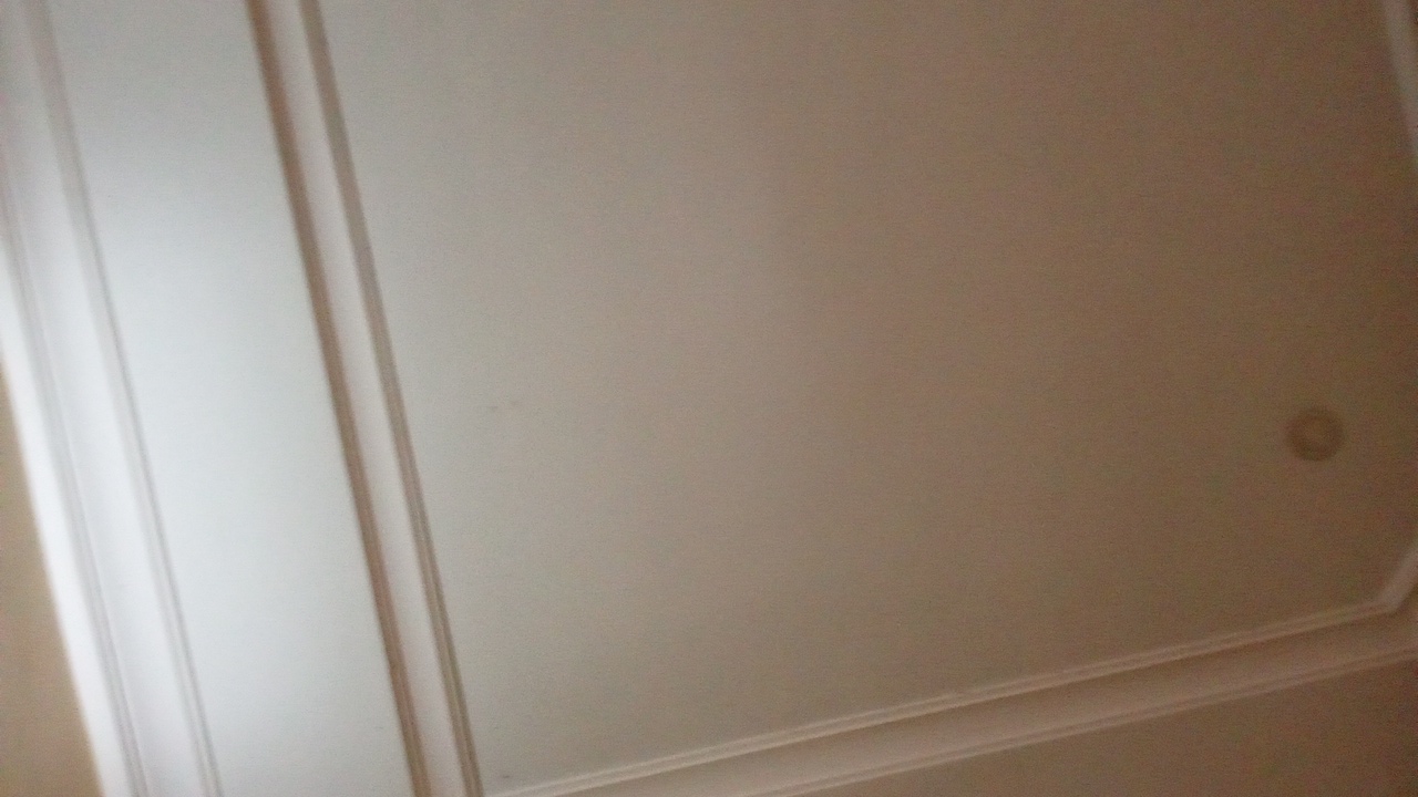 descorpion's profile picture