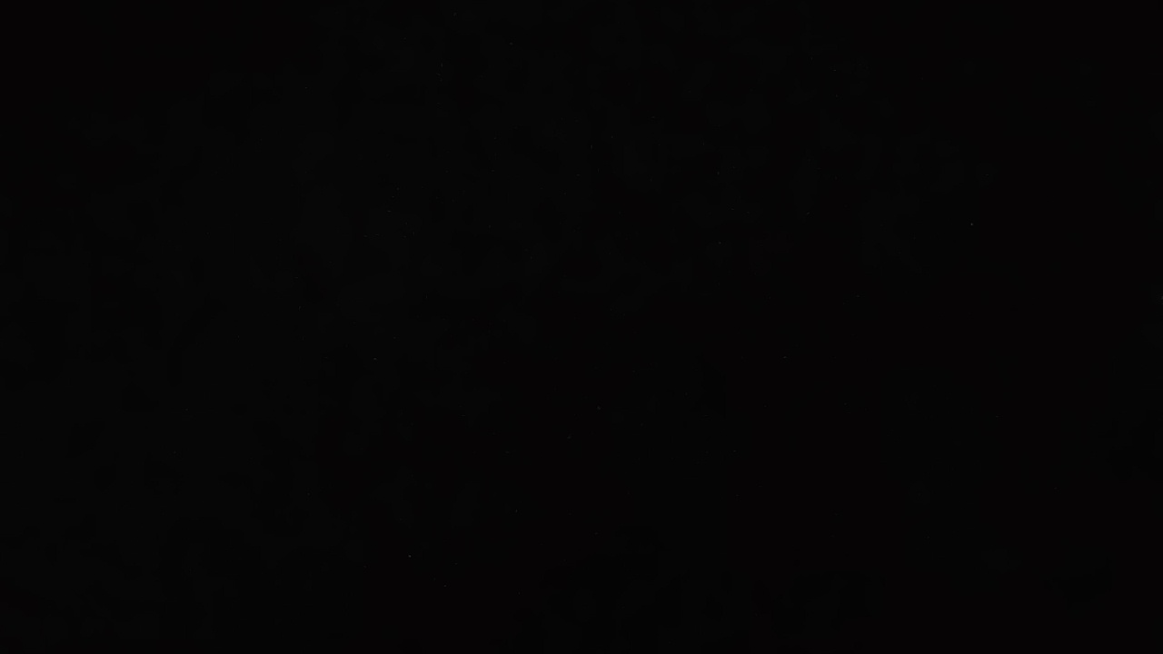 FM-FzH0y1's profile picture