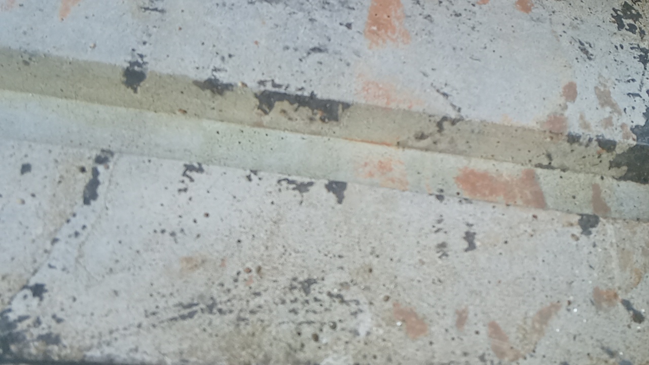 Metro 👷‍♂️ 's profile picture