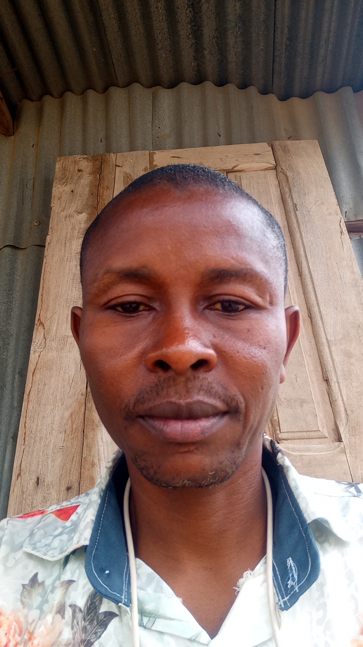 FM-RBC473's profile picture