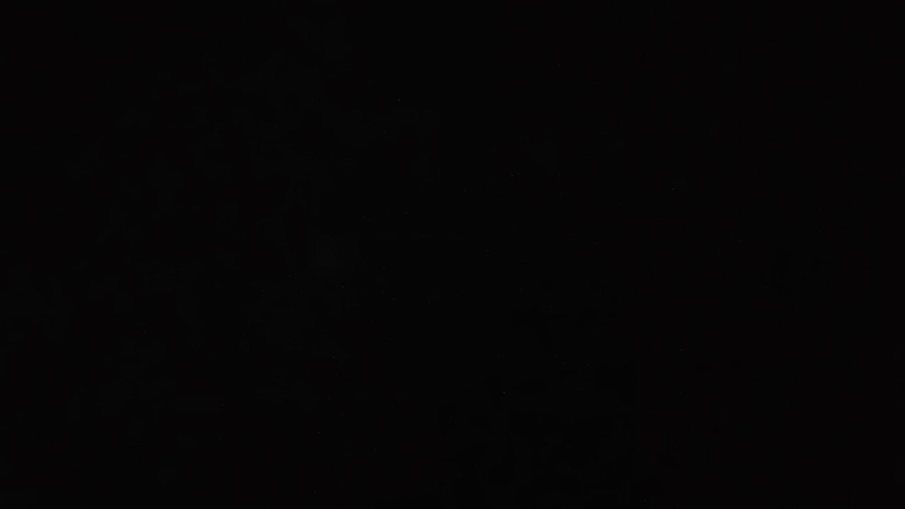 FM-JMd573's profile picture