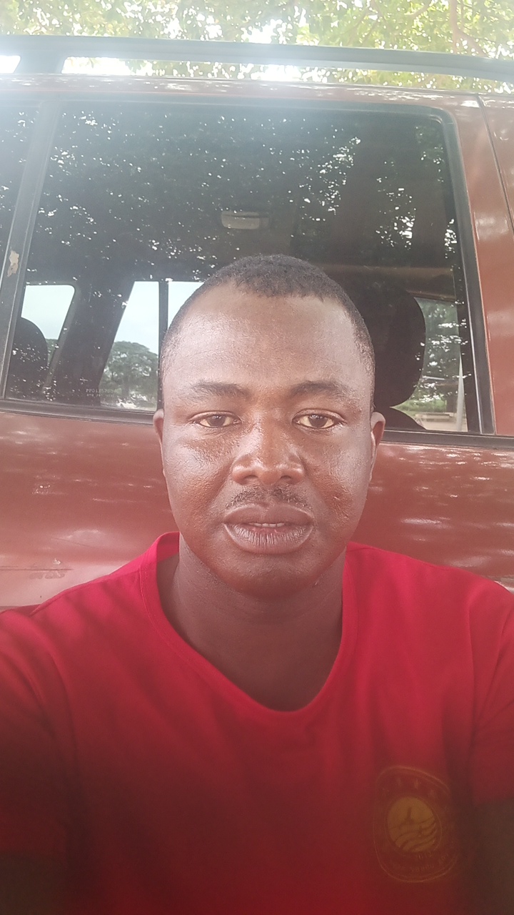 FM-llSYT2's profile picture