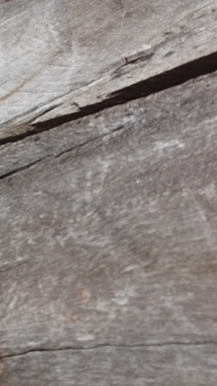 FM-74RNA3's profile picture