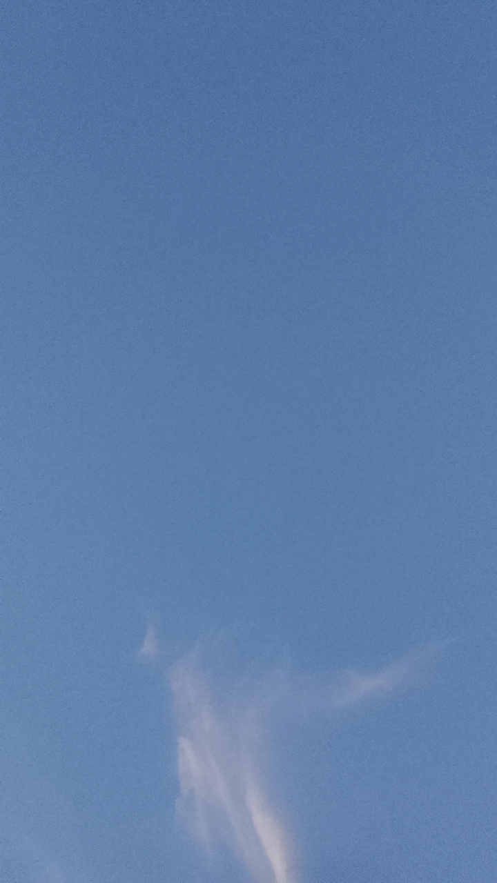 Cassidy's profile picture