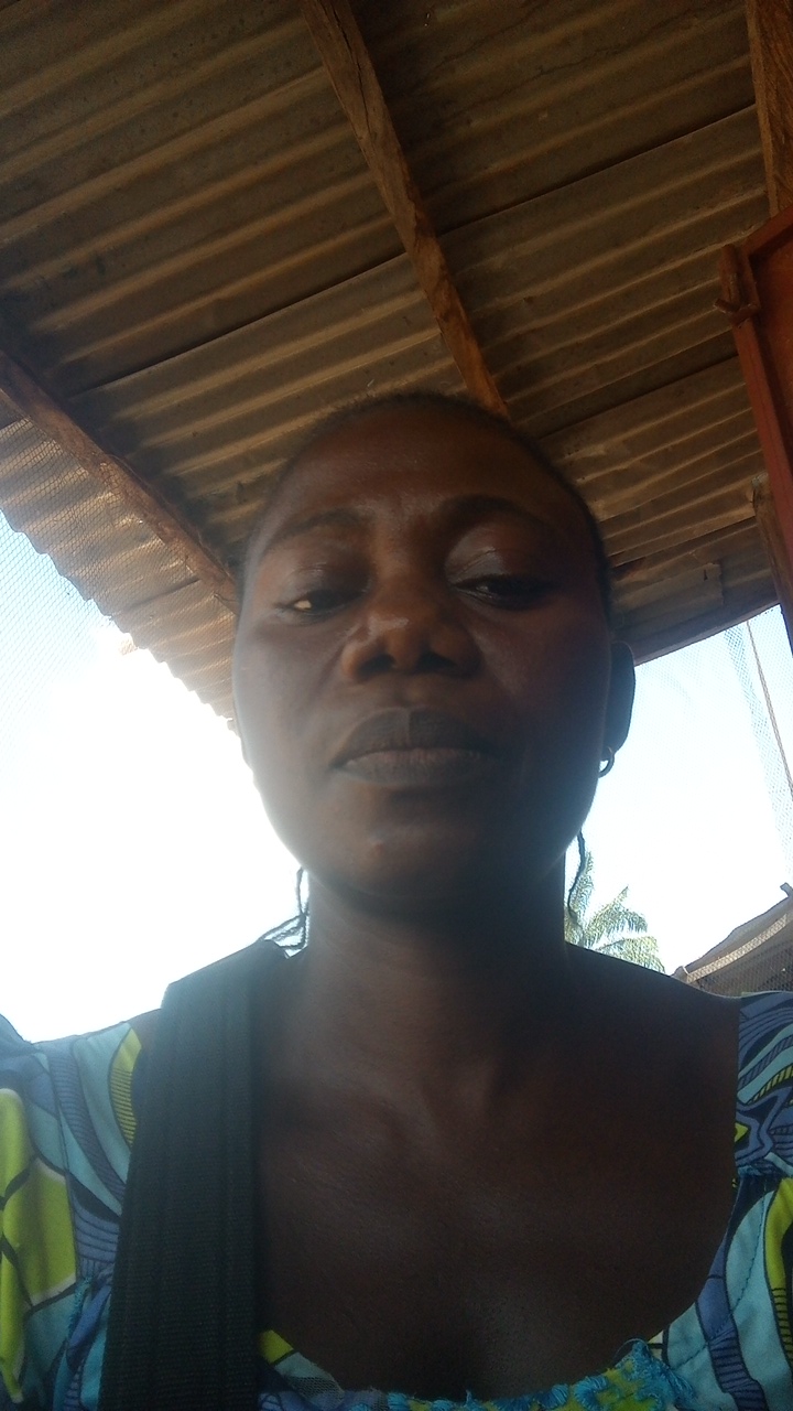 FM-0Bbs02's profile picture