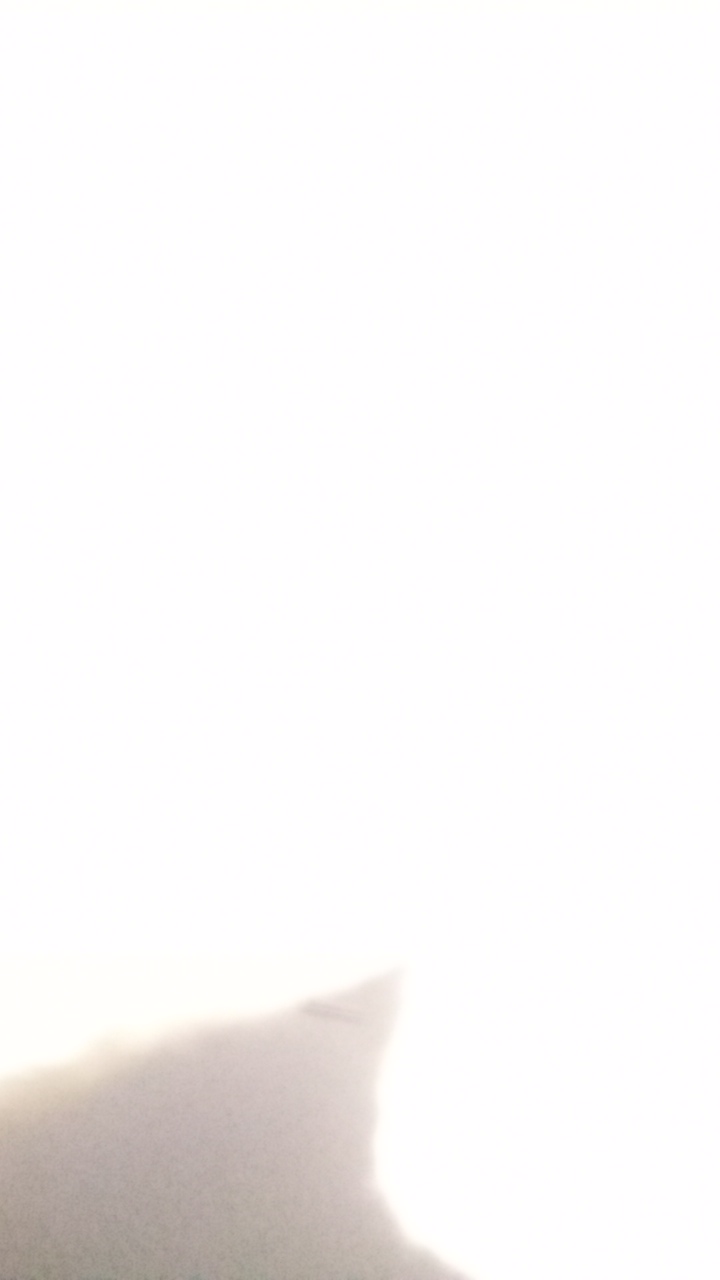 FM-oiObl1's profile picture