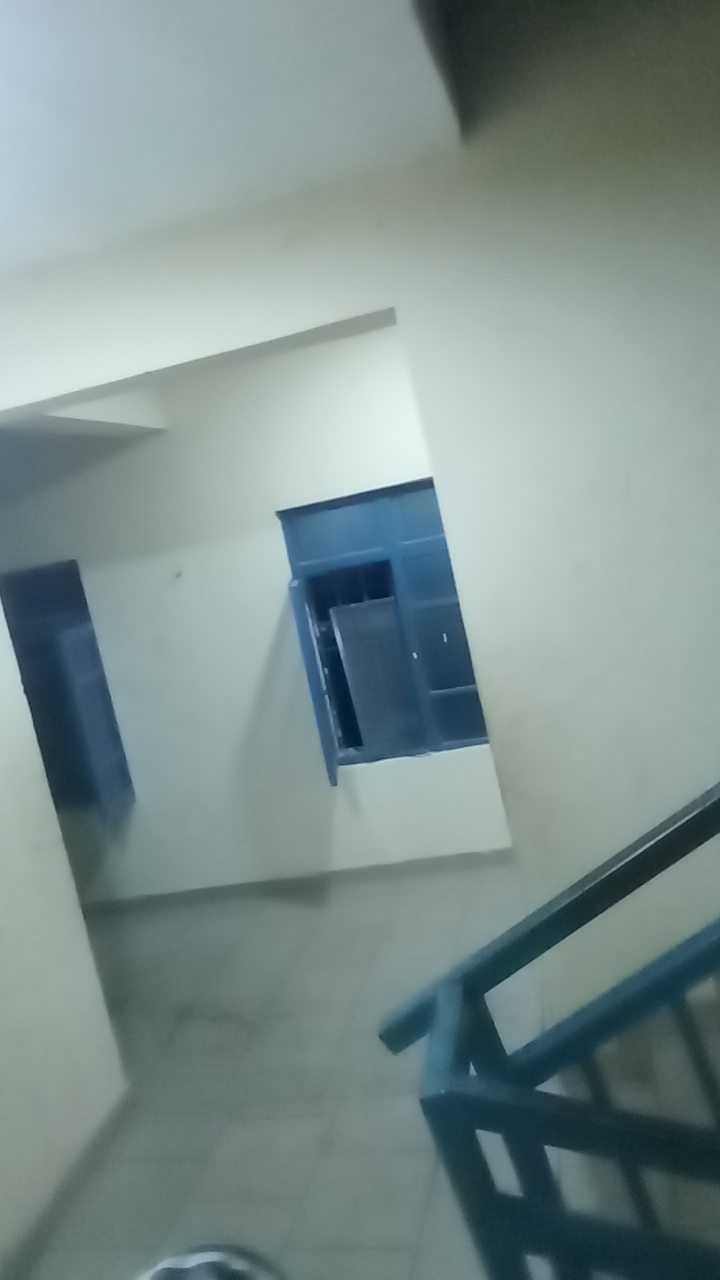 FM-KE1166 's profile picture