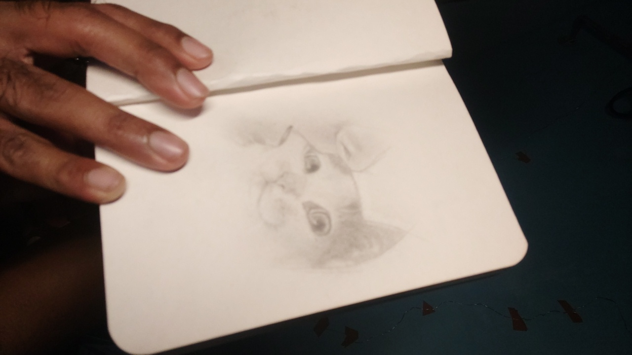 Dsleepydopamine's profile picture
