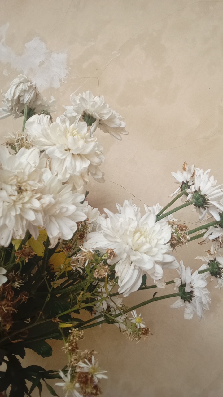 markettowsky's profile picture