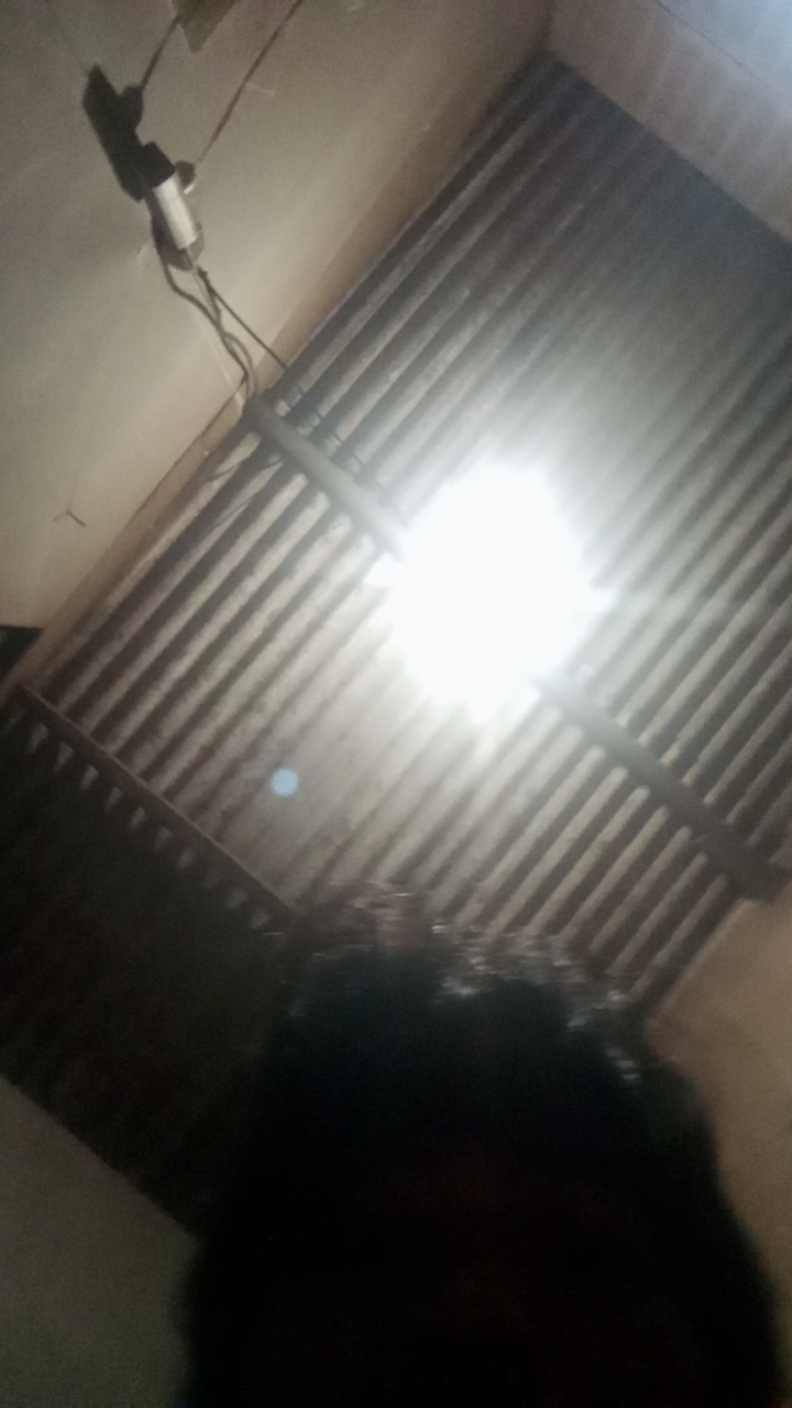 FM-i43T73's profile picture