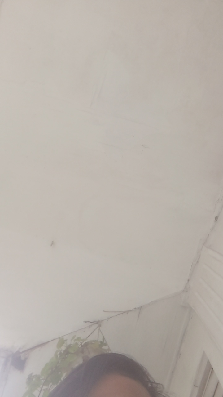 FM-kIX8D3's profile picture