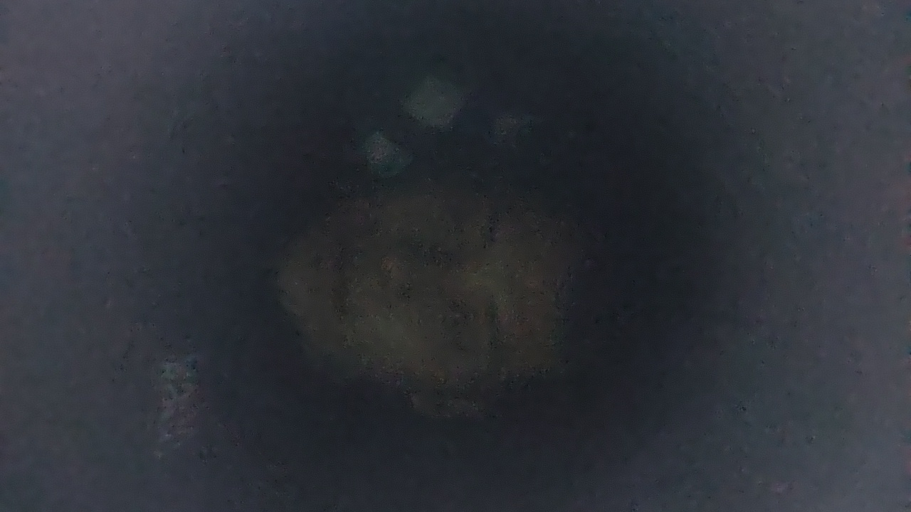 FM-UYScH2's profile picture