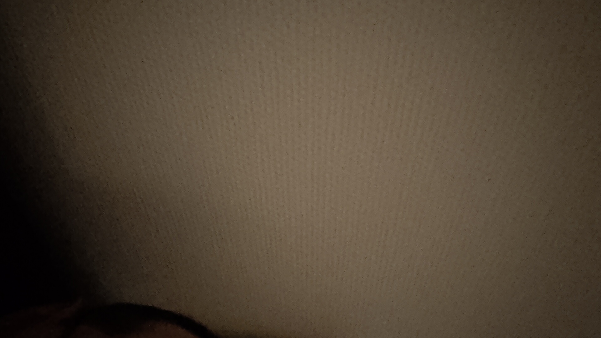 FM-eaG8q2's profile picture