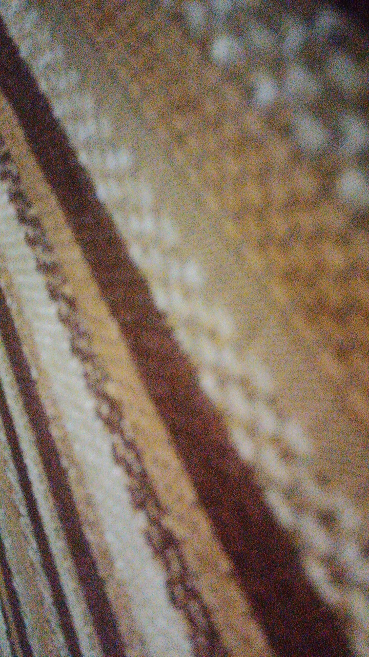 moalaa's profile picture