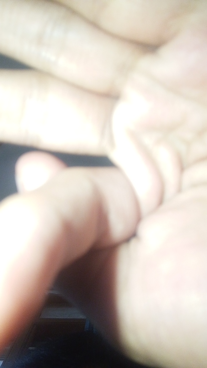 FM-vUvC13's profile picture