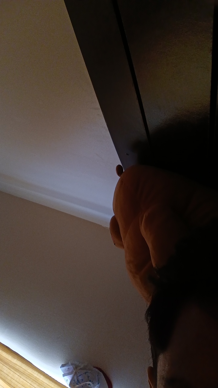 FM-9UohVfj's profile picture